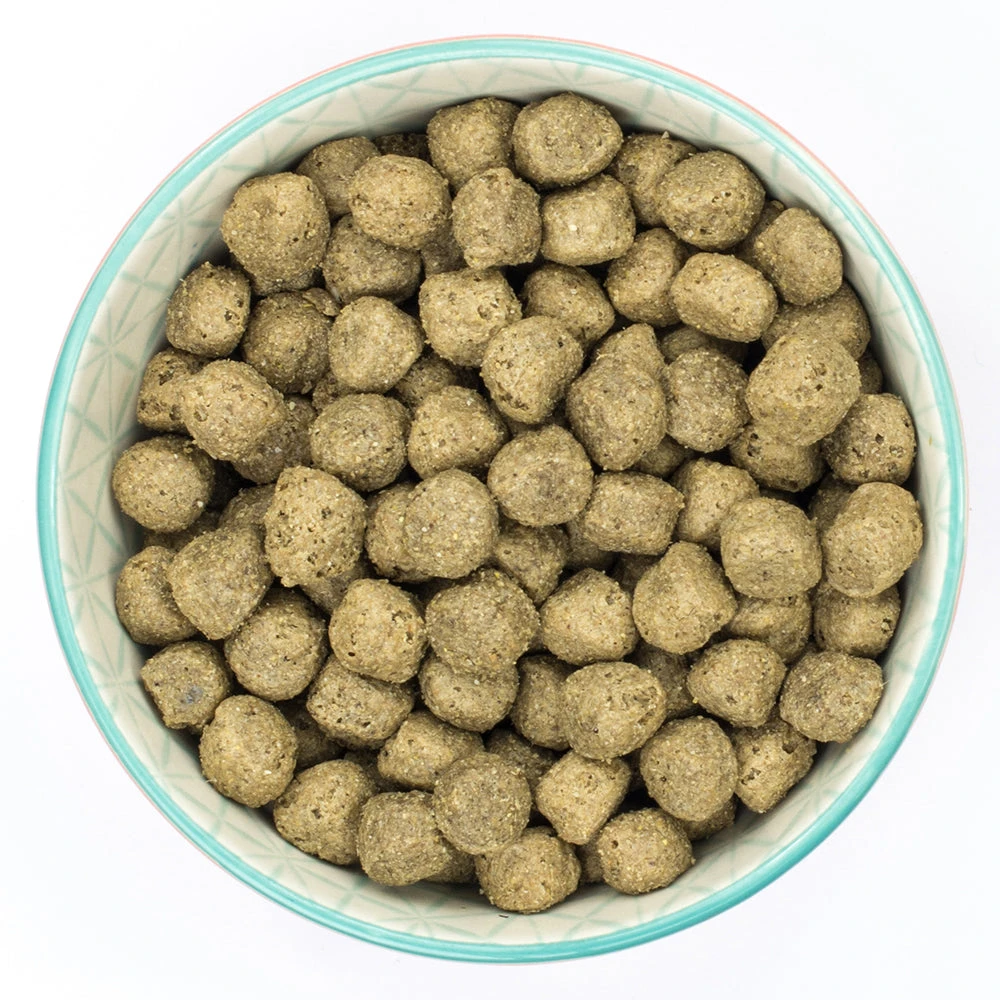 Burns - Sensitive Pork & Potato - Dry Dog Food 4 Burns - Sensitive Pork & Potato - Dry Dog Food - Image 2