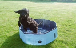 Rosewood - Cool Down Foldable Dog Paddling Pool 8 Rosewood - Cool Down Foldable Dog Paddling Pool -Pet dog 02434 ls1 1