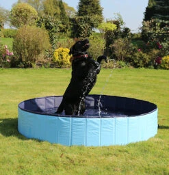 Rosewood - Cool Down Foldable Dog Paddling Pool