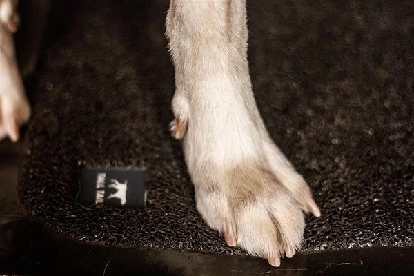 Rosewood - Wet Paws Dog Bath Mat 9 Rosewood - Wet Paws Dog Bath Mat - Image 7