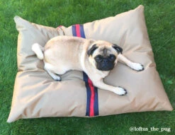 Rosewood - Gold Water Resistant Lounger Dog Bed Mattress -Pet dog 04600 ls