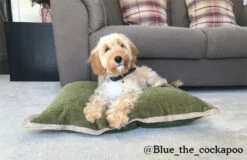 Rosewood - Jute Lounger Dog Bed Mattress - Olive -Pet dog 04604 ls