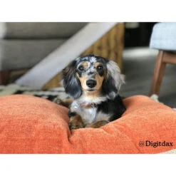 Rosewood - Jute Lounger Dog Bed Mattress - Pumpkin -Pet dog 04605 ls31