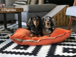 Rosewood - Jute Lounger Dog Bed Mattress - Pumpkin -Pet dog 04605 ls 1