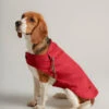 Joules - Red Dog Raincoat -Pet dog 05581 05582 05583 05584 1