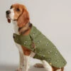 Joules - Bee Print Dog Raincoat