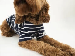 Joules Harbour Dog Jumper -Pet dog 05613056140561505616ls9