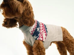 Joules Fairisle Dog Jumper
