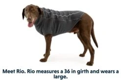 Ruffwear - Fernie Fleece Jacket Twilight Gray -Pet dog 05901 fernie twilight gray large web 640x 9880dfdb d792 4fa0 882e 80cda5efb017