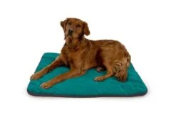 Ruffwear Mt. Bachelor Pad Portable Dog Bed -Pet dog 10202 mt