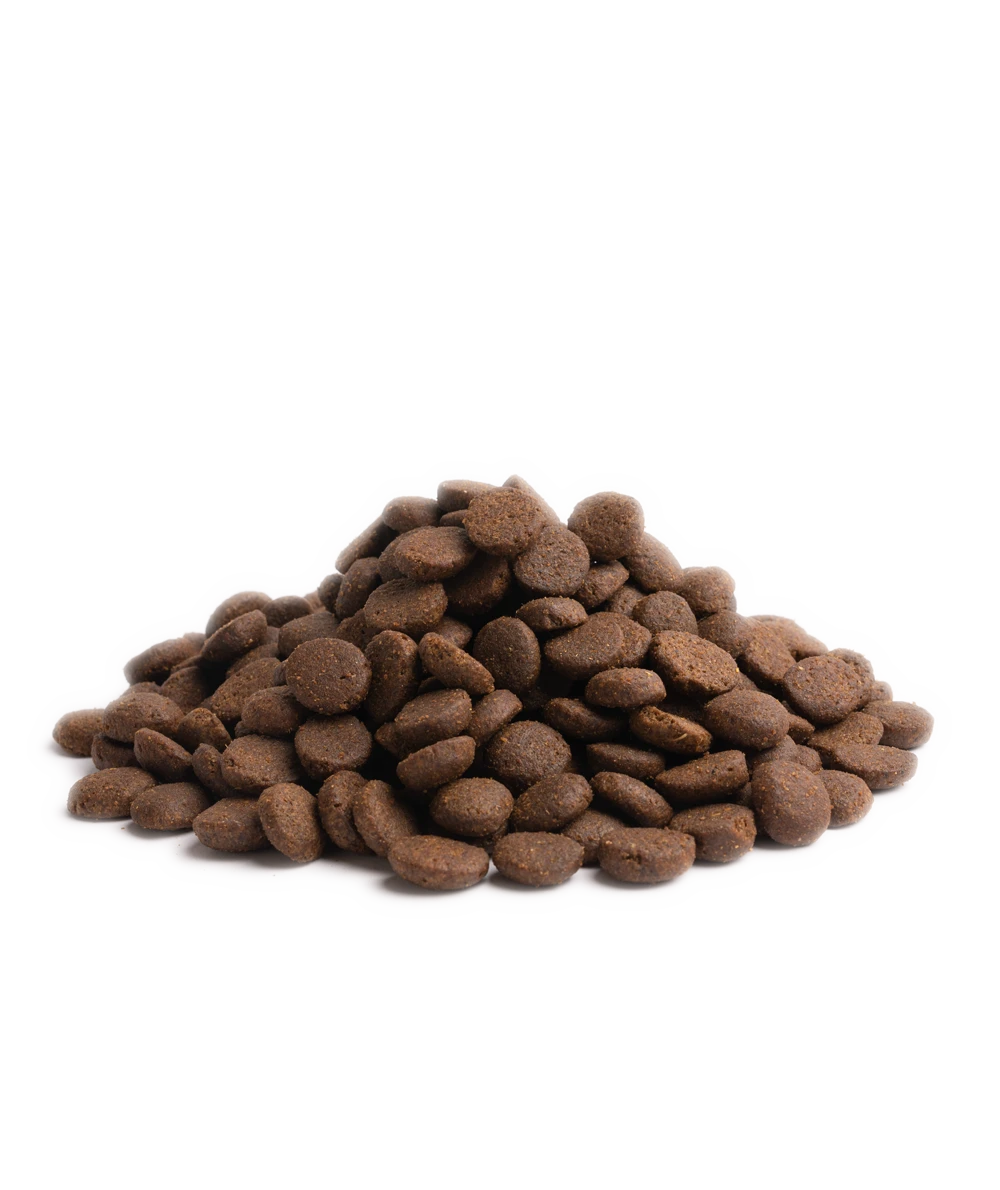 Essential Foods - Superior Living Dry Dog Food 4 Essential Foods - Superior Living Dry Dog Food - Image 2