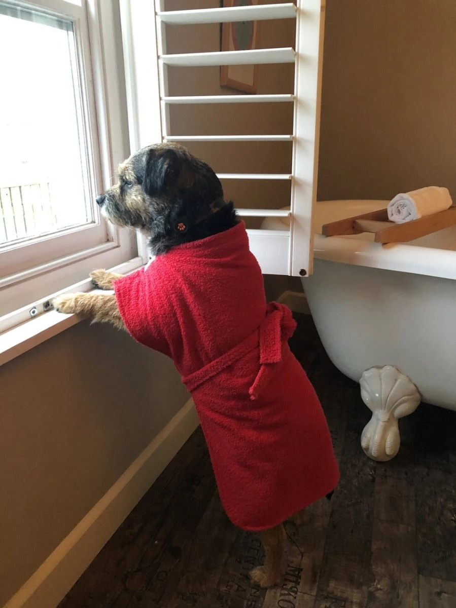 Dogrobes - Dog Robe Drying Coat - Red 12 Dogrobes - Dog Robe Drying Coat - Red - Image 10