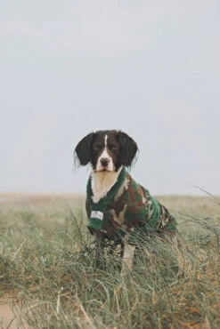 Dogrobes - Dog Robe Drying Coat - Exclusive - Camouflage -Pet dog 181127 alfie in camo label edited