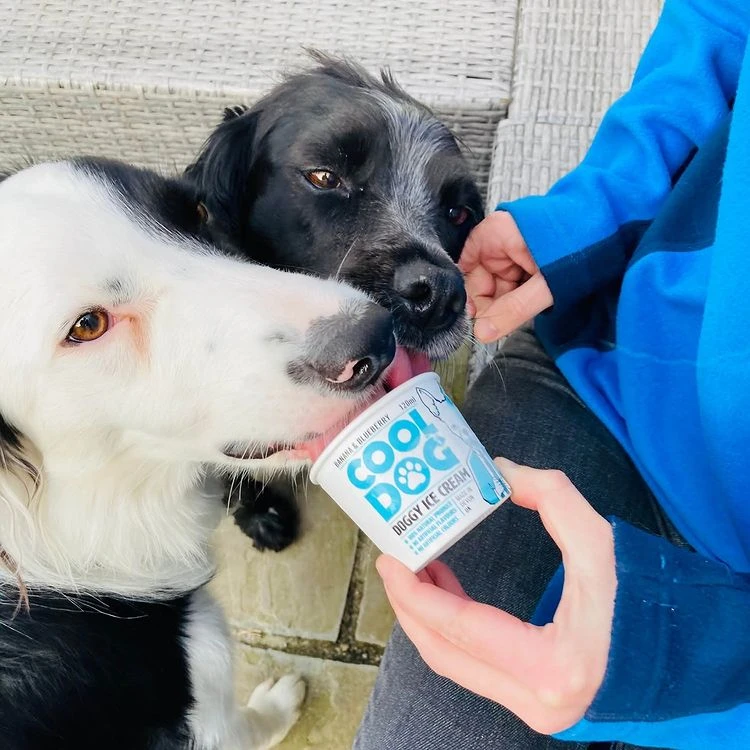Vital Cool Dog - Vegan Ice Cream For Dogs X12 4 Vital Cool Dog - Vegan Ice Cream For Dogs X12 - Image 2