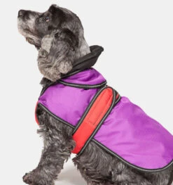 Danish Design - Purple 2-in-1 Ultimate Dog Coat -Pet dog 2 in1 main 3