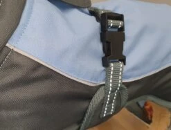 Henry Wag - Waterproof Dog Coat -Pet dog 20210921 170657