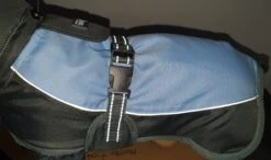 Henry Wag - Waterproof Dog Coat -Pet dog 20210921 170728