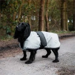 Danish Design - Grey/Black 2-in-1 Ultimate Dog Coat -Pet dog 20 2 in 1 grey 2 1610101465 41e392