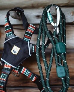 Woolly Wolf - Recycled Rope Dog Lead - Ever Green 11 Woolly Wolf - Recycled Rope Dog Lead - Ever Green -Pet dog 237325469 875731786694073 4175985012102145163 n