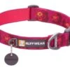 Ruffwear Flat Out Dog Collar - Alpenglow Burst -Pet dog 25203 flat out collar alpenglow burst web 640x d1faa420 6021 4632 bced d0e906f9099d