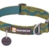 Ruffwear Flat Out Dog Collar - New River -Pet dog 25203 flat out collar new river web 640x b48e6b57 e496 4bf1 94d2 90564668d6bf