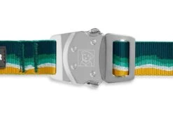 Ruffwear - Top Rope Collar - Seafoam -Pet dog 25503 top rope collar sea foam buckle closed web 640x c592b1f6 30b9 49df 8586 6ff02df9c8f9