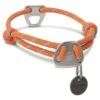 Ruffwear - Knot-a-Collar - Pumpkin Orange -Pet dog 25602 knot a collar pumpkinorange web 640x 6871f6c7 1515 41c9 b8c7 1fbc8e2279a5
