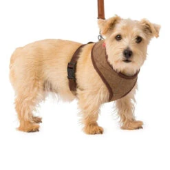 House Of Paws - Tweed Memory Foam Dog Harness 10 House Of Paws - Tweed Memory Foam Dog Harness -Pet dog 352658011 2 1280x1280 3aac2d3b 08db 4bde b812 8b66f4ac6c2c