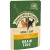 James Wellbeloved Cat Adult Lamb Grain Free Pouches 12x85g -Pet dog 364d966e7af02c637f4caa7552b1792df7edb54e