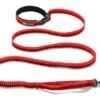 Ruffwear - Roamerâ„¢ Dog Lead - Red Currant 1 Ruffwear - Roamerâ„¢ Dog Lead - Red Currant -Pet dog 40354 a
