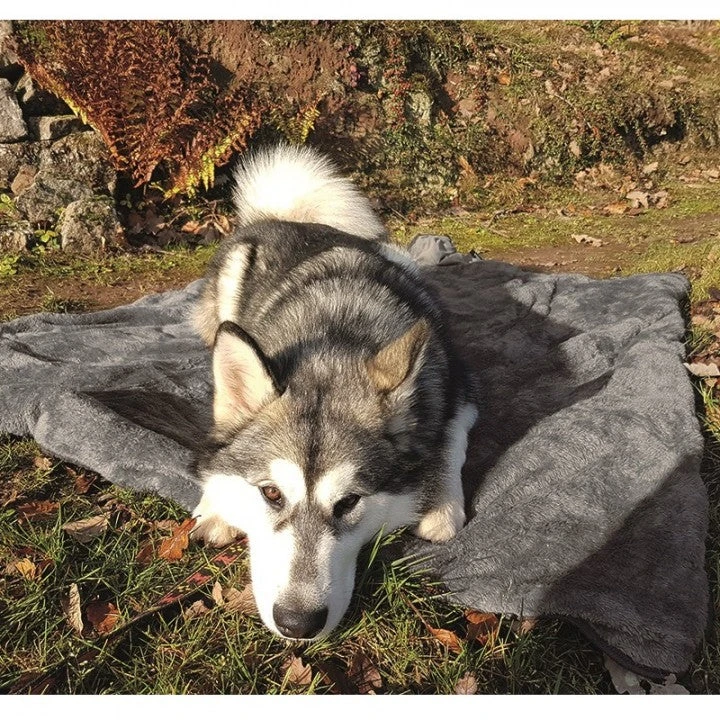 Henry Wag Multimat Travel Throw Dog Rug 3 Henry Wag Multimat Travel Throw Dog Rug