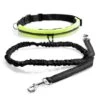 Vital OutPaws Running Belt & Lead -Pet dog 4494825 r z001a