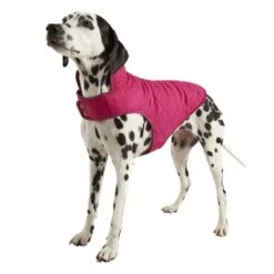 Joules - Raspberry Quilted Dog Coat -Pet dog 470988011 0 640x640 3a1d2a5d cc7d 491d 8f5d bb9acf9e64e3