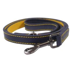 Joules - Navy Leather Dog Lead