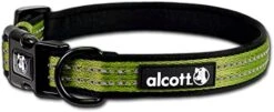 Alcott - Adventure Collar -Pet dog 515i4jz5lol. ac sx466 2