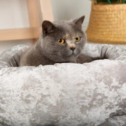 Scruffs - Velvet Donut Cat/Small Dog Bed - Silver -Pet dog 543691011 543691011 1 1607606648000 1280x1280 af95a93b 8110 49c6 8da8 4ee79f0fe464