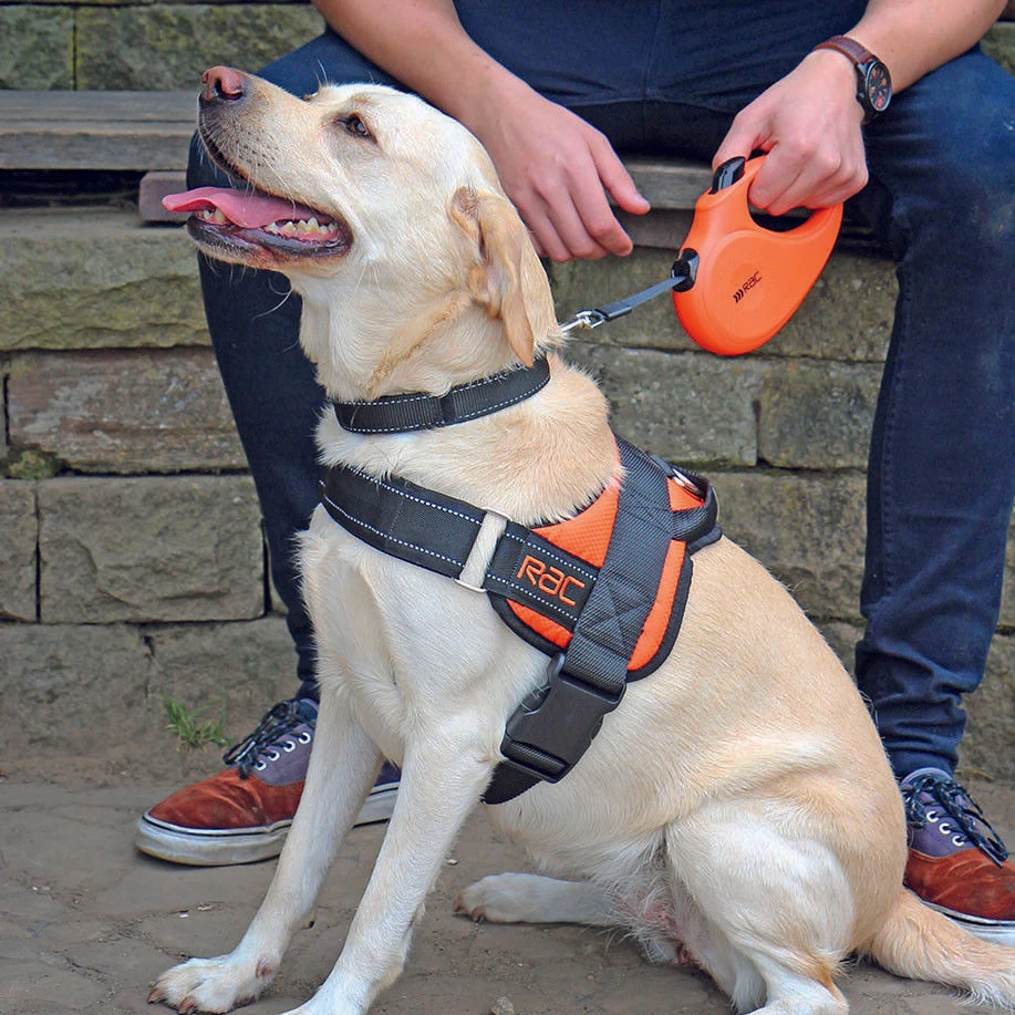 RAC Retractable Dog Lead 5 RAC Retractable Dog Lead - Image 3