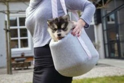 Beeztees - Puppy Carrier Bag - Grey -Pet dog 61tjfov9zal. ac sl1280