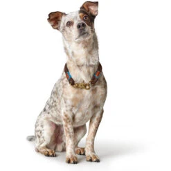 Hunter - Oss Rope Dog Collar - Brown -Pet dog 66989 002 image 19