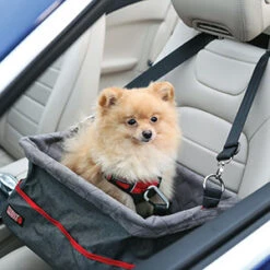 KONG - Dog Car Booster Seat -Pet dog 7136266 02