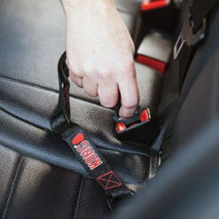 KONG - Dog Car Seat Belt Tether -Pet dog 7136271 03