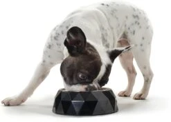 Hunter Pet - Kimberley Dog Feeding Bowl - White -Pet dog 718f0ktgo3l. ac sl1500