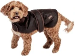 FatFace Sussex Wax Dog Coat 8 FatFace Sussex Wax Dog Coat -Pet dog 71u jrwpjol. ac sl1500