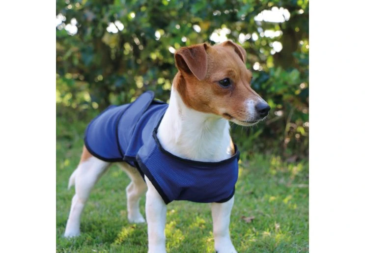 Ancol - Dog Cooling Vest 4 Ancol - Dog Cooling Vest - Image 2