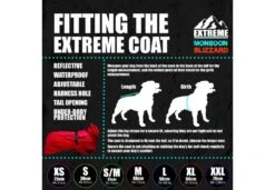 Ancol Muddy Paws - Extreme Monsoon Dog Coat - Red 8 Ancol Muddy Paws - Extreme Monsoon Dog Coat - Red -Pet dog 743x515 980701 4 1