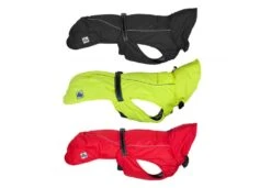 Ancol Muddy Paws - Extreme Monsoon Dog Coat - Red 9 Ancol Muddy Paws - Extreme Monsoon Dog Coat - Red -Pet dog 743x515 980702 1 1