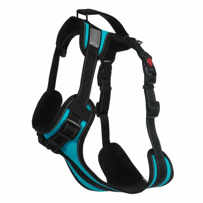 RUKKA - Solid Dog Harness - Turquoise 3 RUKKA - Solid Dog Harness - Turquoise