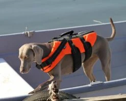 RUKKA - Safety Life Vest Jacket For Dogs -Pet dog 764837