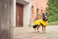 RUKKA - Stream Dog Raincoat - Yellow -Pet dog 773918