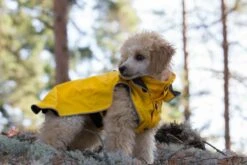 RUKKA - Stream Dog Raincoat - Yellow -Pet dog 773919